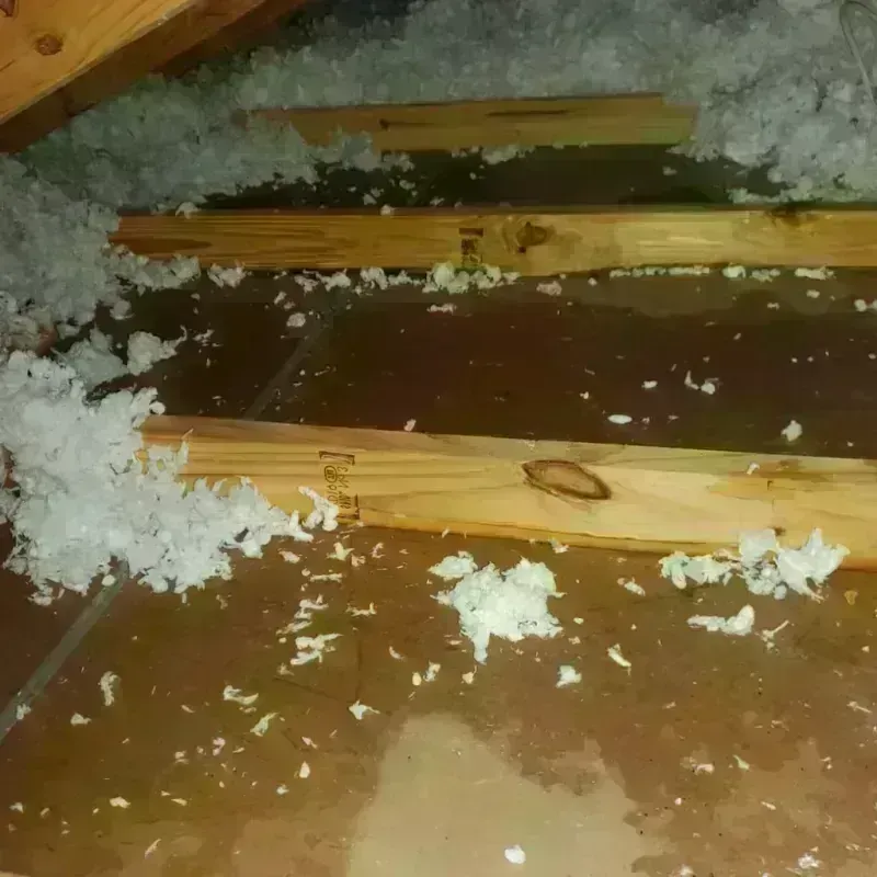 Attic Water Damage in Monona, WI