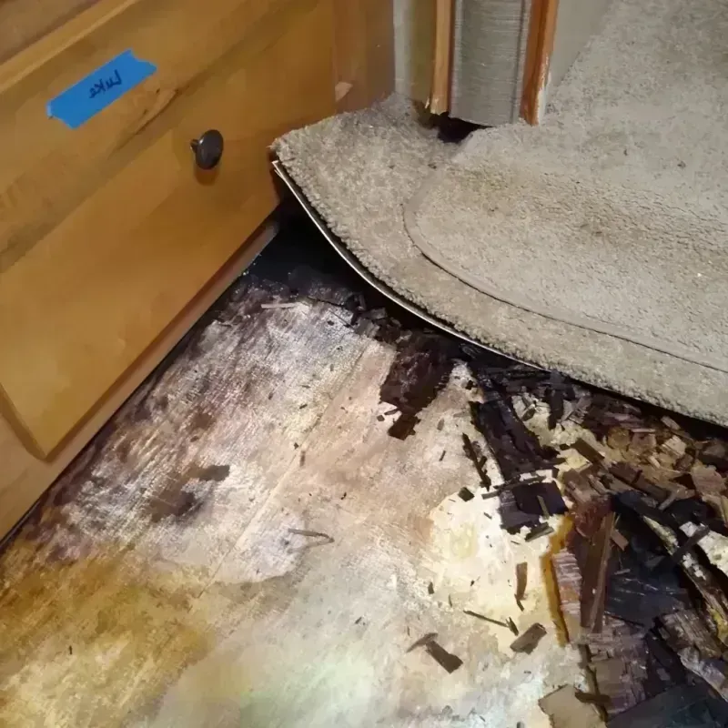 Best Wood Floor Water Damage Service in Monona, WI